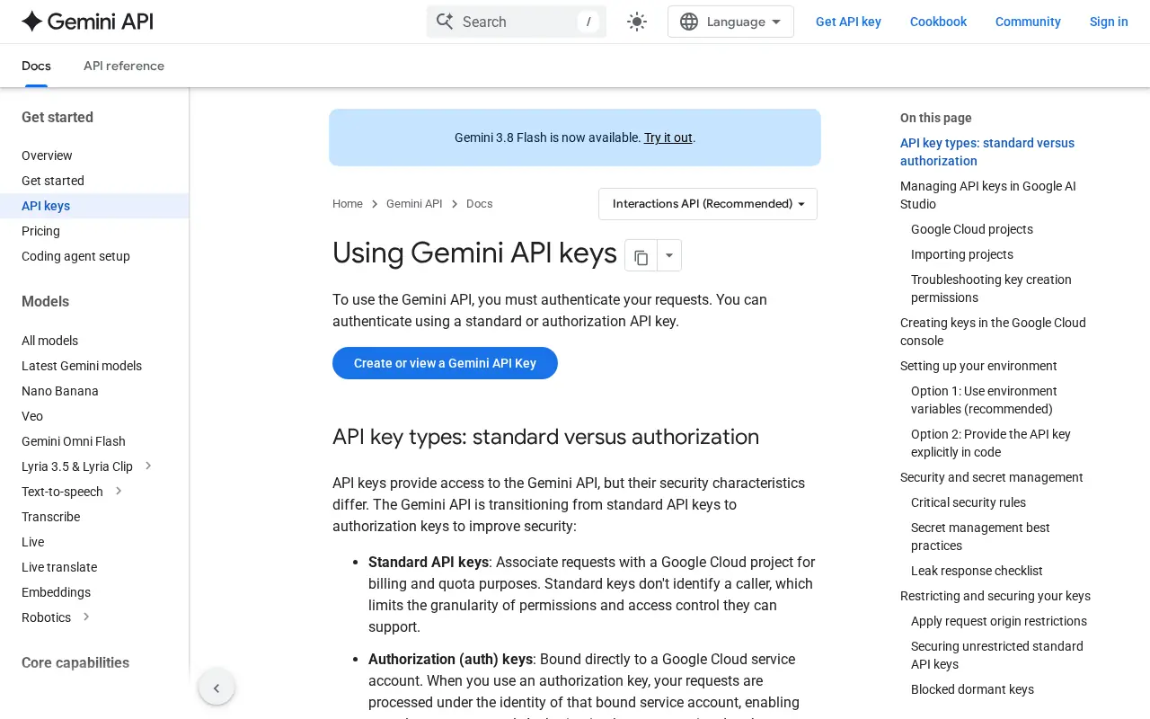 Google's Gemini API documentation page about using API keys